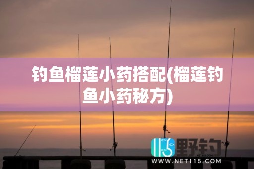 钓鱼榴莲小药搭配(榴莲钓鱼小药秘方)