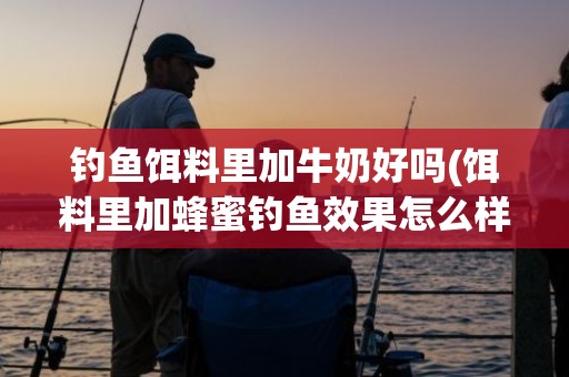 钓鱼饵料里加牛奶好吗(饵料里加蜂蜜钓鱼效果怎么样)