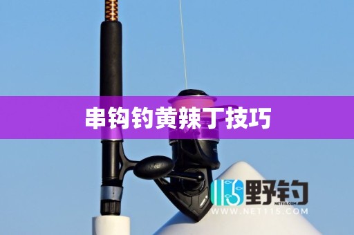 串钩钓黄辣丁技巧