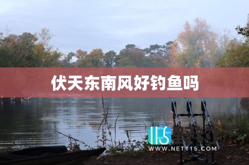伏天东南风好钓鱼吗