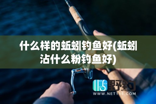 什么样的蚯蚓钓鱼好(蚯蚓沾什么粉钓鱼好)