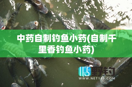 中药自制钓鱼小药(自制千里香钓鱼小药)