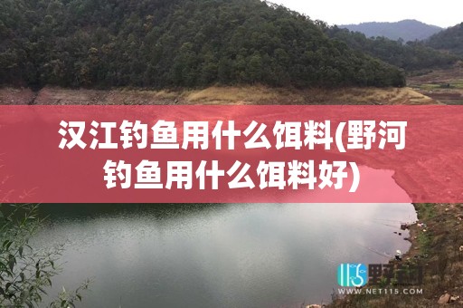 汉江钓鱼用什么饵料(野河钓鱼用什么饵料好)