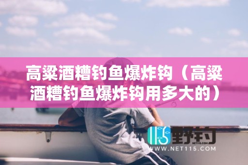 高粱酒糟钓鱼爆炸钩（高粱酒糟钓鱼爆炸钩用多大的）