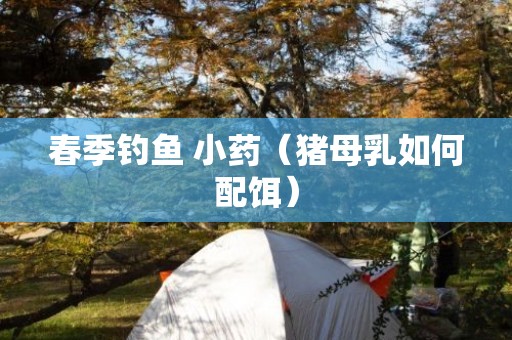 春季钓鱼 小药（猪母乳如何配饵）
