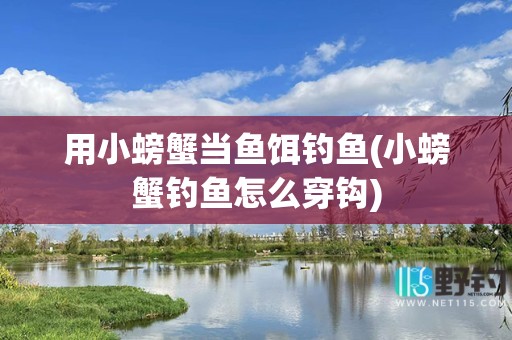 用小螃蟹当鱼饵钓鱼(小螃蟹钓鱼怎么穿钩)