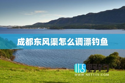 成都东风渠怎么调漂钓鱼