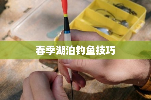 春季湖泊钓鱼技巧