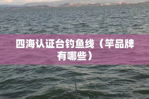 四海认证台钓鱼线（竿品牌有哪些）