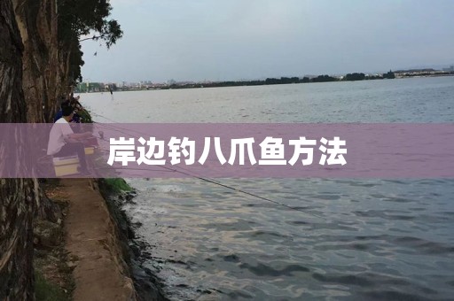 岸边钓八爪鱼方法