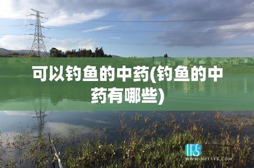 可以钓鱼的中药(钓鱼的中药有哪些)