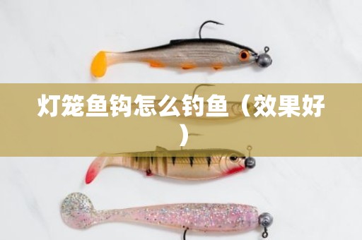 灯笼鱼钩怎么钓鱼（效果好）