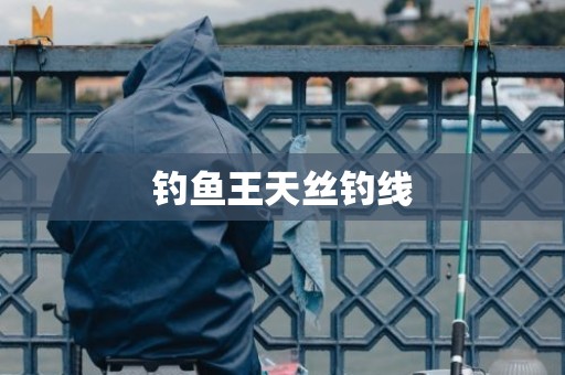 钓鱼王天丝钓线
