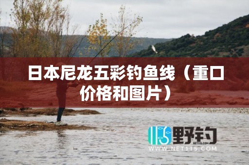日本尼龙五彩钓鱼线（重口价格和图片）