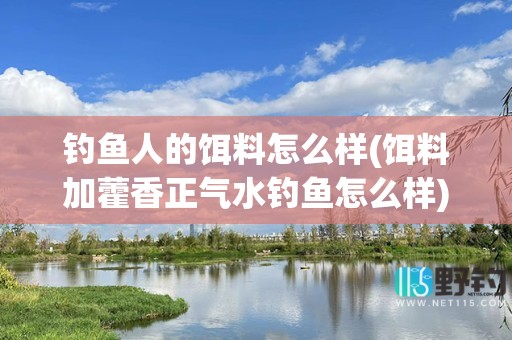 钓鱼人的饵料怎么样(饵料加藿香正气水钓鱼怎么样)9