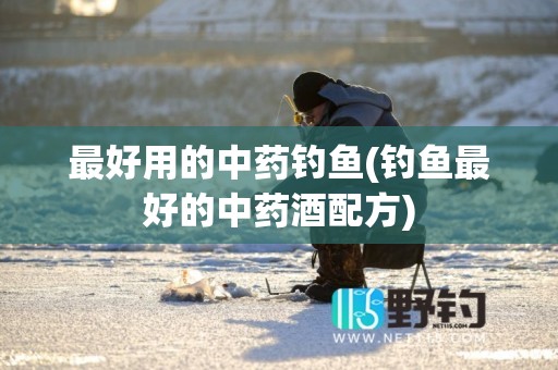 最好用的中药钓鱼(钓鱼最好的中药酒配方)