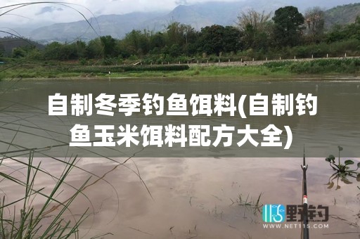 自制冬季钓鱼饵料(自制钓鱼玉米饵料配方大全)