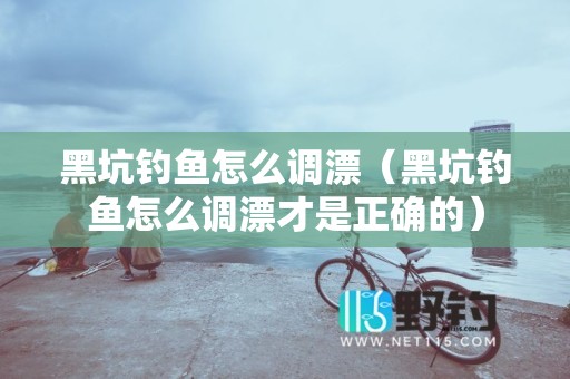 黑坑钓鱼怎么调漂（黑坑钓鱼怎么调漂才是正确的）