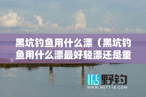 黑坑钓鱼用什么漂（黑坑钓鱼用什么漂最好轻漂还是重漂）