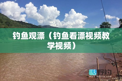 钓鱼观漂（钓鱼看漂视频教学视频）