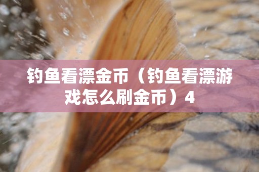 钓鱼看漂金币（钓鱼看漂游戏怎么刷金币）4