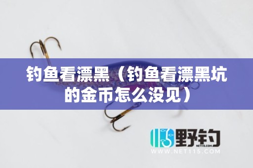 钓鱼看漂黑（钓鱼看漂黑坑的金币怎么没见）