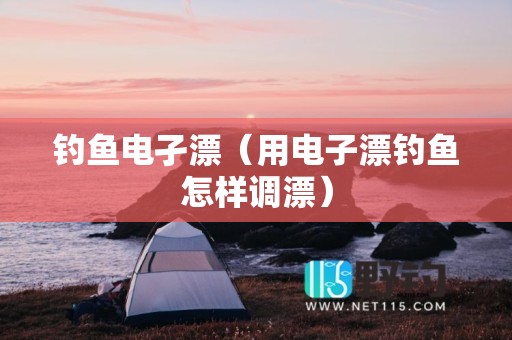 钓鱼电孑漂（用电子漂钓鱼怎样调漂）