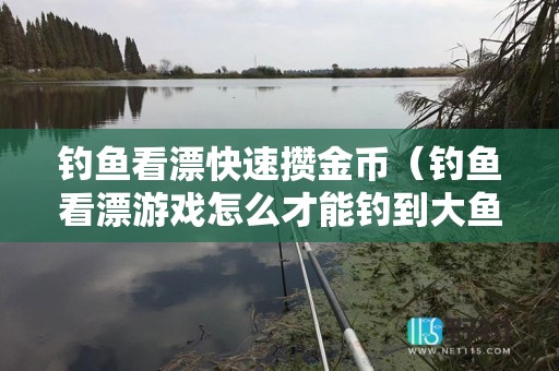 钓鱼看漂快速攒金币（钓鱼看漂游戏怎么才能钓到大鱼）