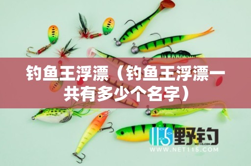 钓鱼王浮漂（钓鱼王浮漂一共有多少个名字）