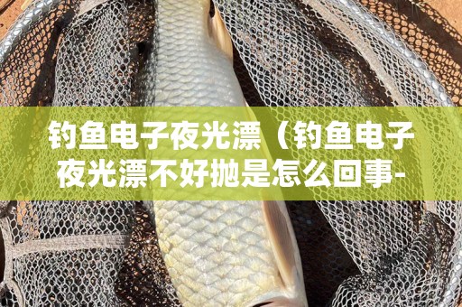 钓鱼电子夜光漂（钓鱼电子夜光漂不好抛是怎么回事-）