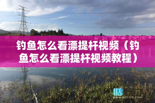 钓鱼怎么看漂提杆视频（钓鱼怎么看漂提杆视频教程）