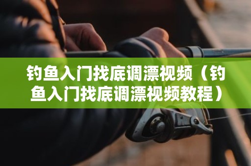 钓鱼入门找底调漂视频（钓鱼入门找底调漂视频教程）