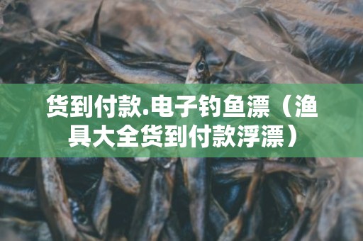 货到付款.电子钓鱼漂（渔具大全货到付款浮漂）