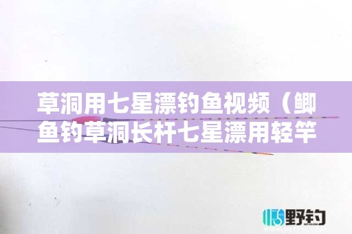 草洞用七星漂钓鱼视频（鲫鱼钓草洞长杆七星漂用轻竿还是硬竿好）