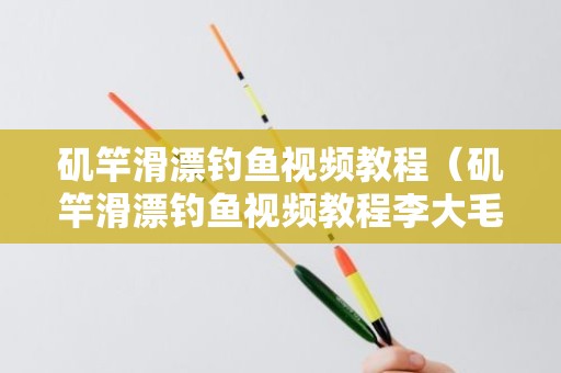矶竿滑漂钓鱼视频教程（矶竿滑漂钓鱼视频教程李大毛）