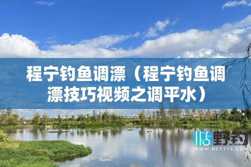 程宁钓鱼调漂（程宁钓鱼调漂技巧视频之调平水）