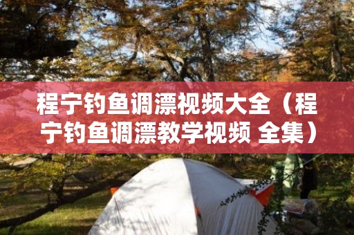 程宁钓鱼调漂视频大全（程宁钓鱼调漂教学视频 全集）