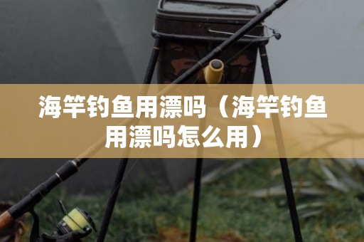 海竿钓鱼用漂吗（海竿钓鱼用漂吗怎么用）
