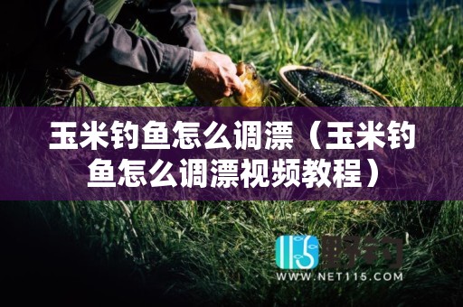 玉米钓鱼怎么调漂（玉米钓鱼怎么调漂视频教程）