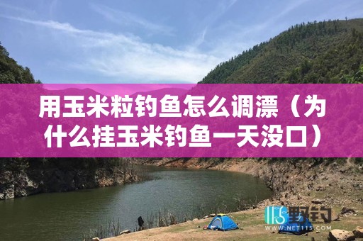 用玉米粒钓鱼怎么调漂（为什么挂玉米钓鱼一天没口）