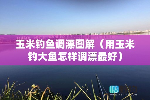 玉米钓鱼调漂图解（用玉米钓大鱼怎样调漂最好）