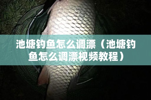 池塘钓鱼怎么调漂（池塘钓鱼怎么调漂视频教程）