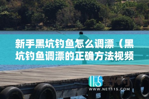 新手黑坑钓鱼怎么调漂（黑坑钓鱼调漂的正确方法视频教程）
