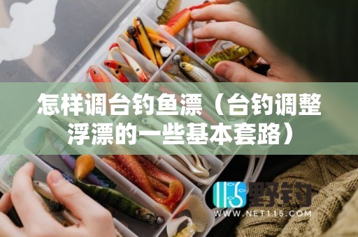 怎样调台钓鱼漂（台钓调整浮漂的一些基本套路）