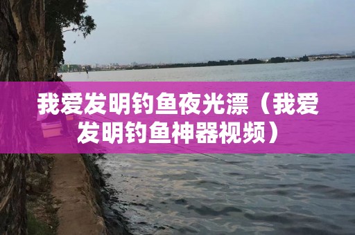 我爱发明钓鱼夜光漂（我爱发明钓鱼神器视频）