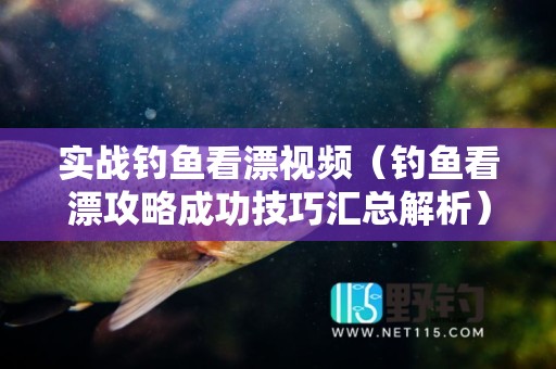 实战钓鱼看漂视频（钓鱼看漂攻略成功技巧汇总解析）