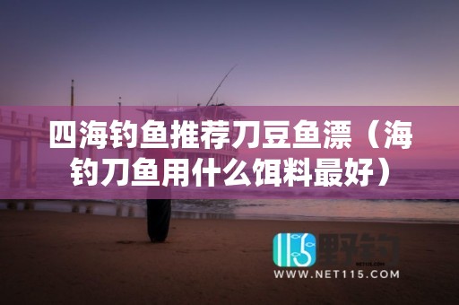 四海钓鱼推荐刀豆鱼漂（海钓刀鱼用什么饵料最好）
