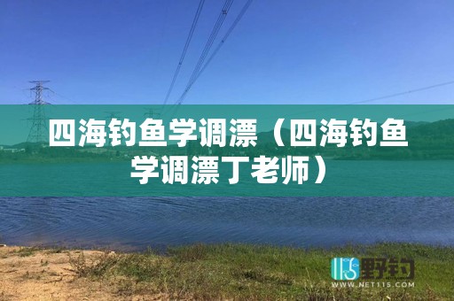 四海钓鱼学调漂（四海钓鱼学调漂丁老师）