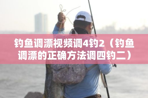 钓鱼调漂视频调4钓2（钓鱼调漂的正确方法调四钓二）