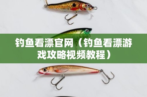 钓鱼看漂官网（钓鱼看漂游戏攻略视频教程）